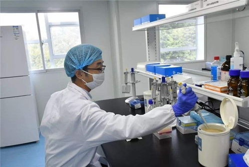 咸陽市乾縣壓力表第三方計量校正中心技術(shù)轉(zhuǎn)讓方案