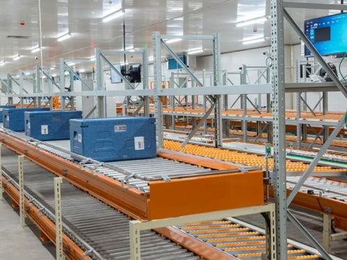 2024中國粽子行業消費與品牌現狀白皮書 從傳統節令食品到農產品產業鏈